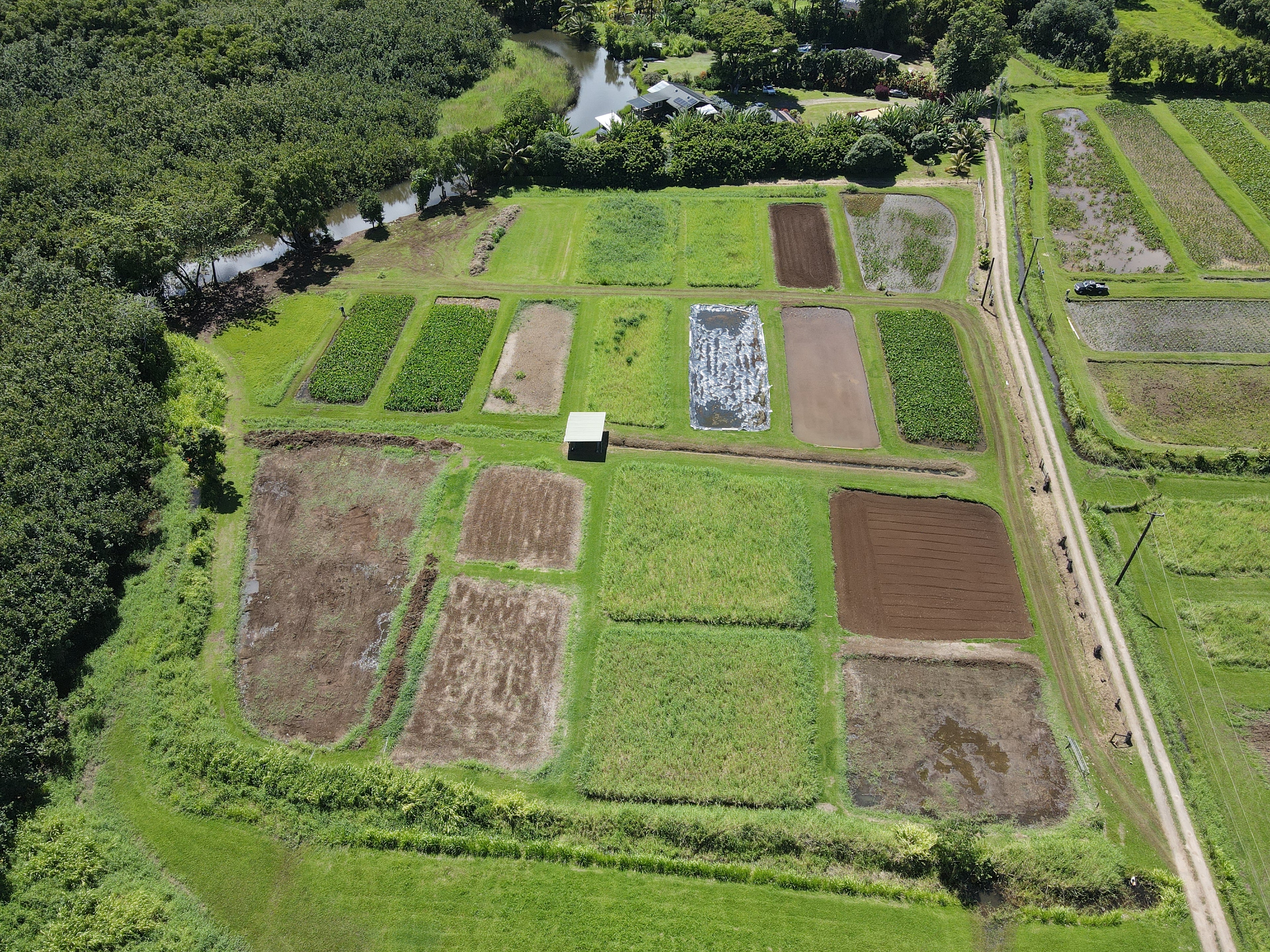 <h4>In April 2018, Waipā records a national record of 50in of rainfall in 24hrs. With its strategic location and dedicated staff, Waipā supports various initial flooding relief efforts while continuing to produce and distribute healthy locally grown food to impacted community members. </h4>