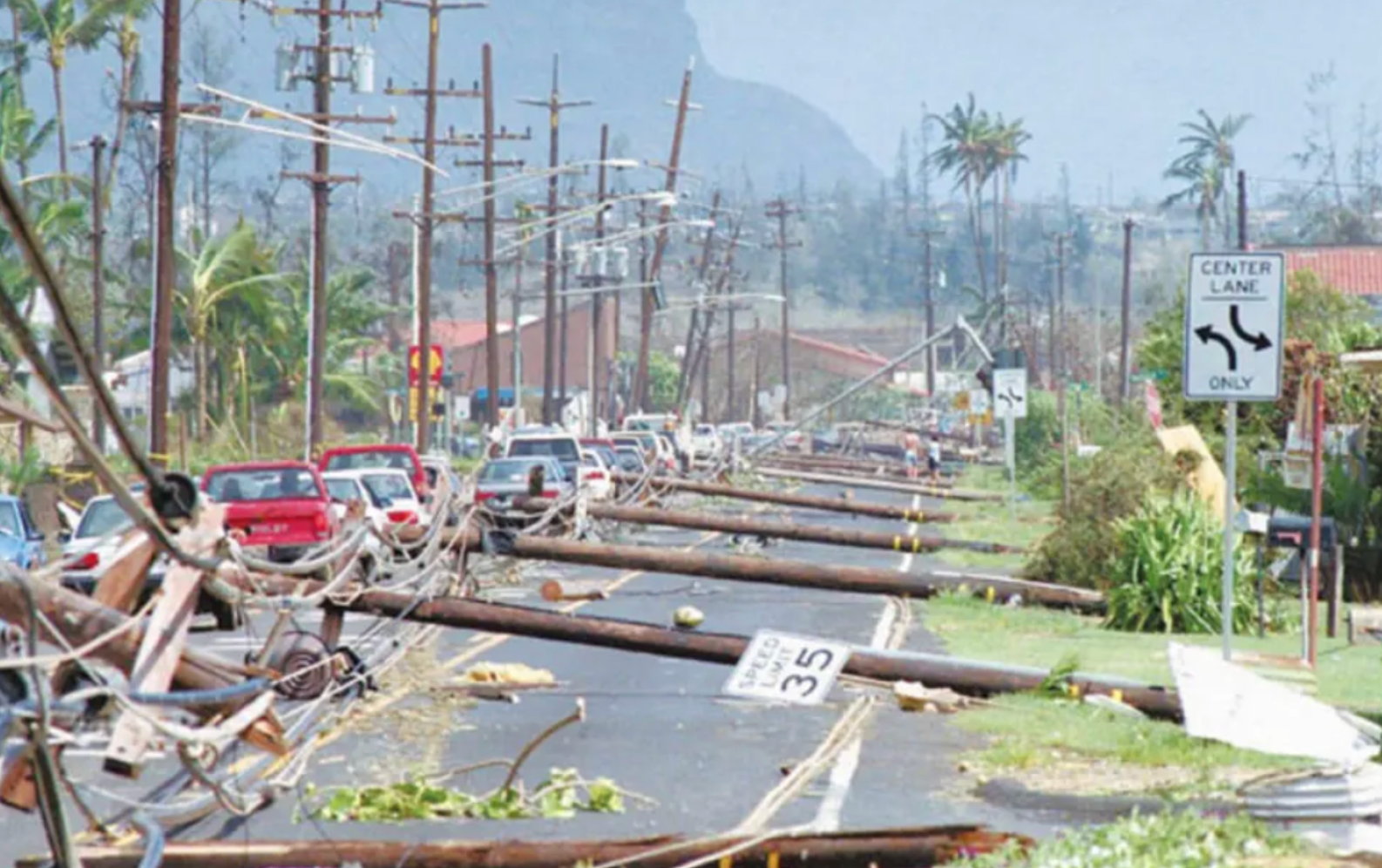 <h4>Hurricane Iniki decimates Kaua’i, destroying 80% of Waipā’s buildings and damaging a significant area of the upland native forest.</h4>