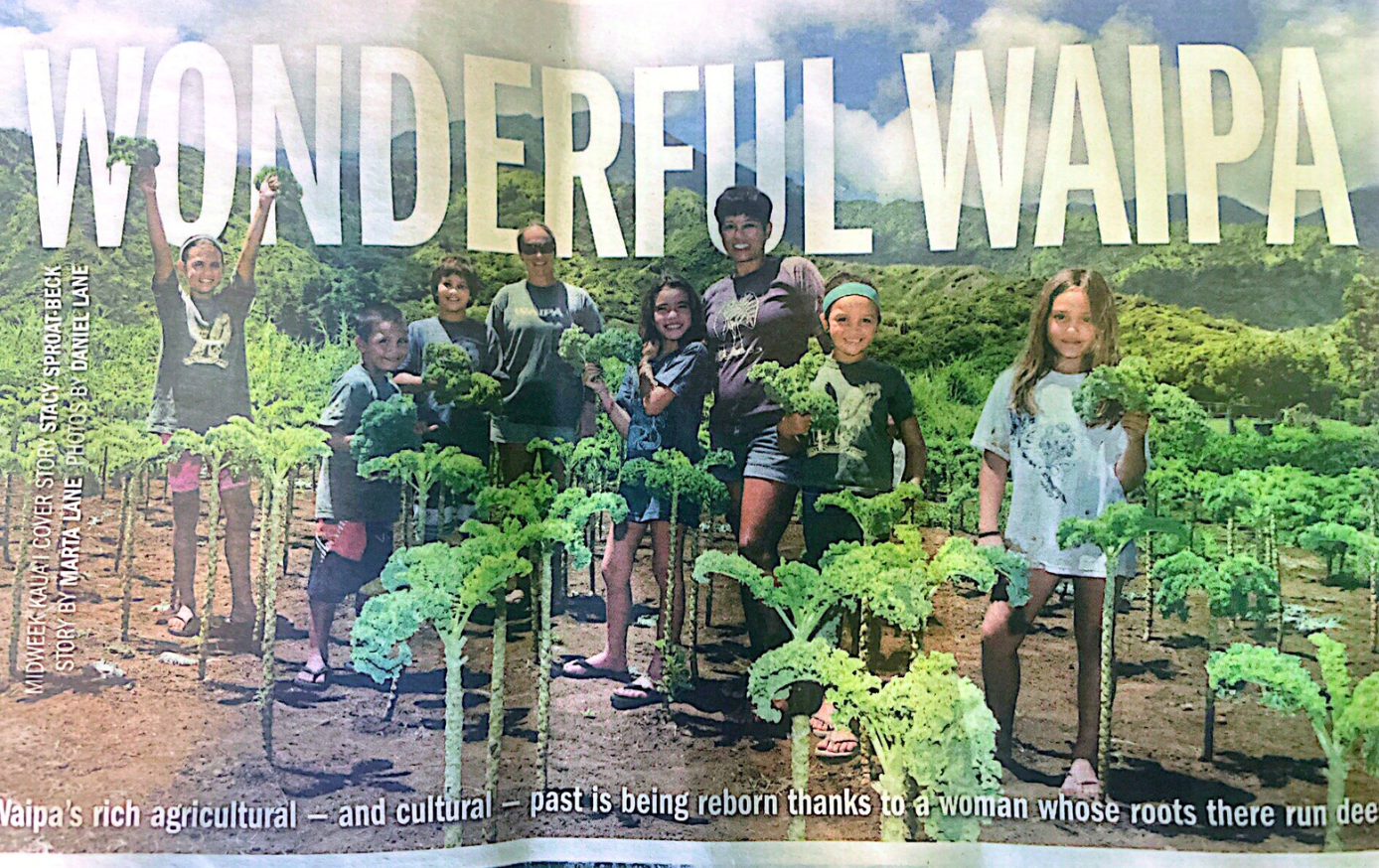 <h4>Waipā Foundation is granted its 501c3 status and the strategic plan is completed.</h4>