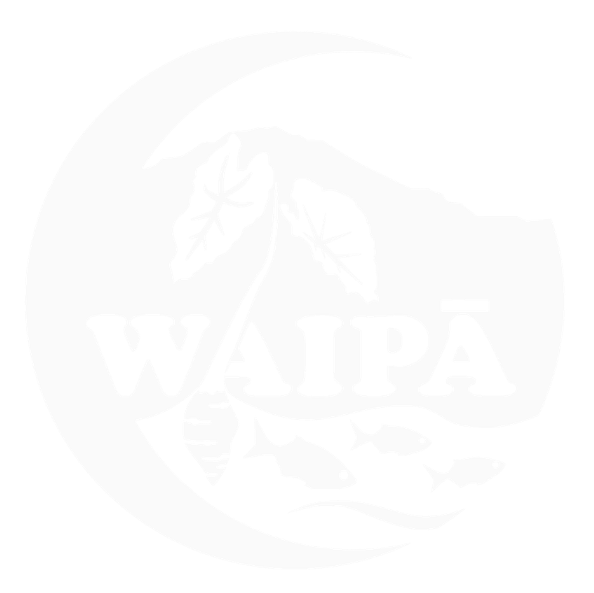 Waipa Foundation logo